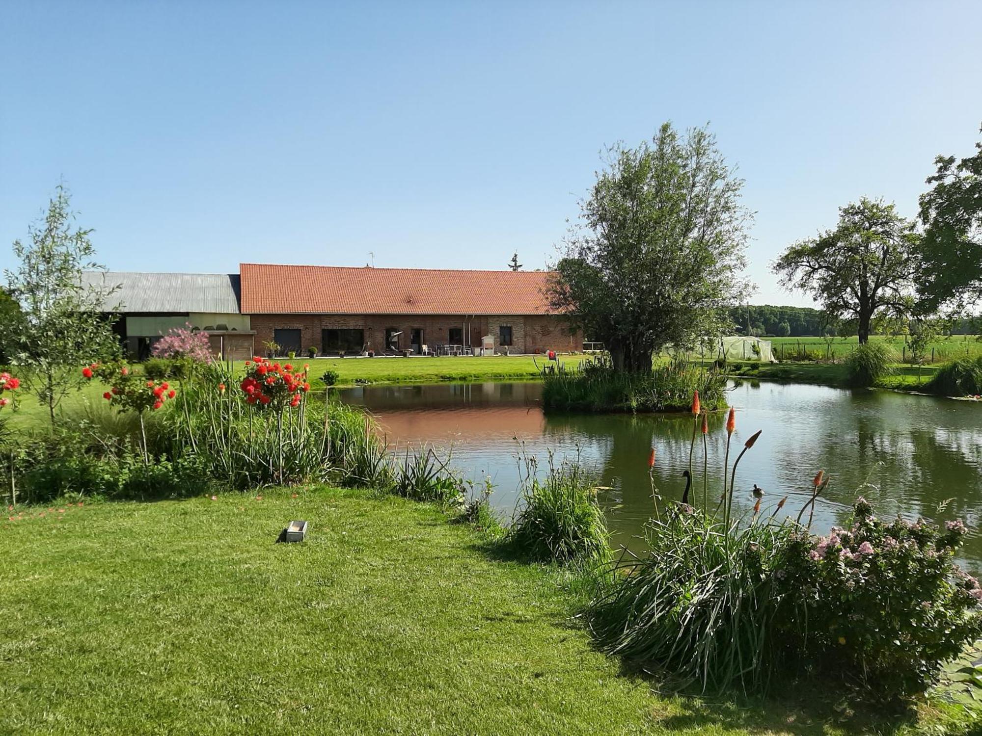 Chambre Coin Nature Fromelles Room photo